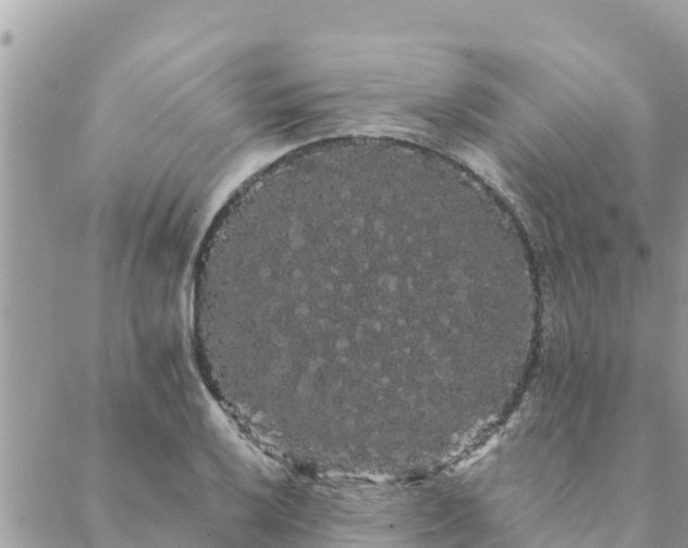 X0000088591032200706011132