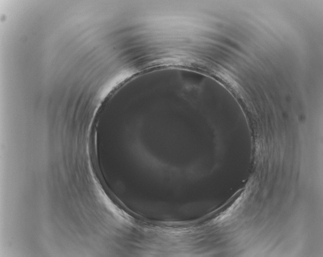 X0000088591034200706011132