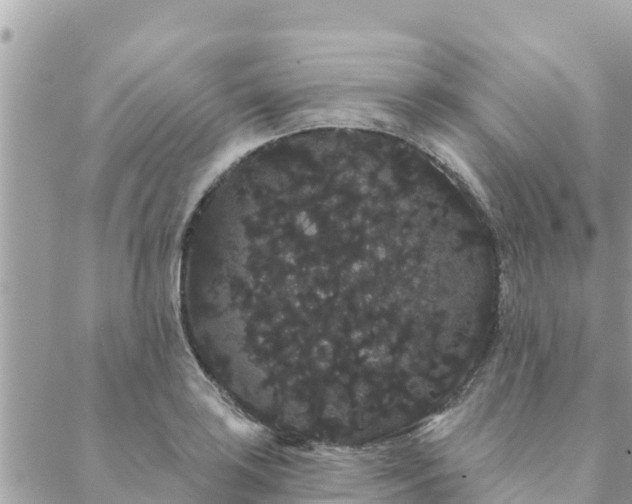 X0000088591035200706011132