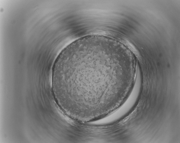 X0000088591036200706011132