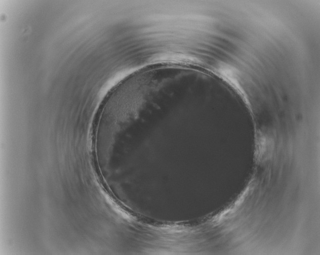 X0000088591037200706011132