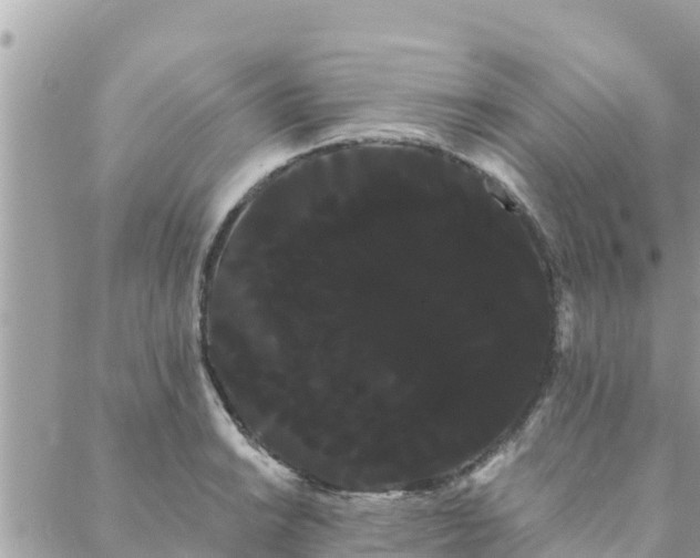 X0000088591038200706011133