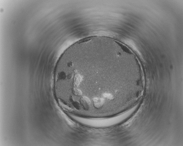 X0000088591040200706011133