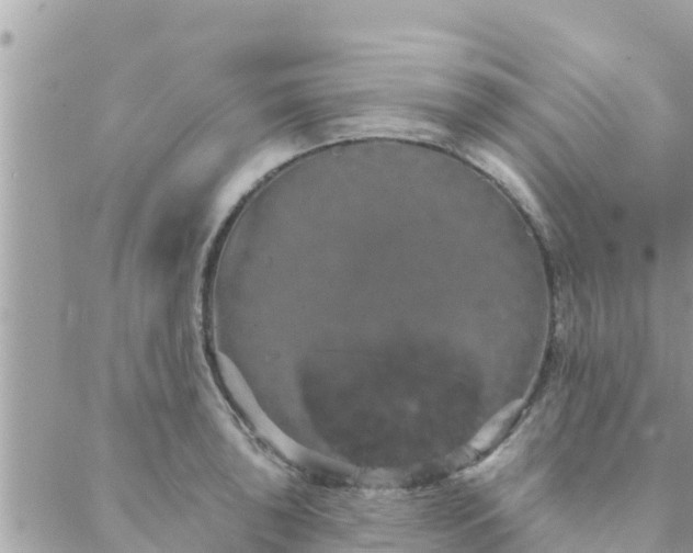 X0000088591043200706011133