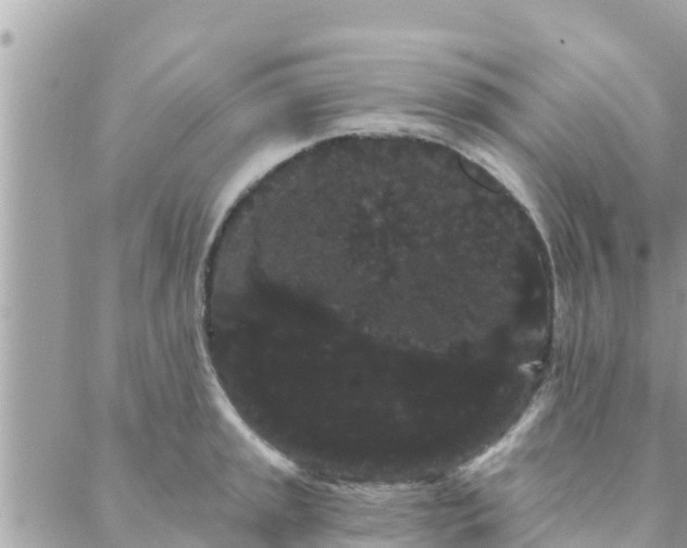 X0000088591045200706011133