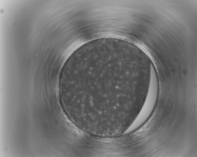 X0000088591048200706011133