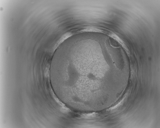 X0000088591049200706011133