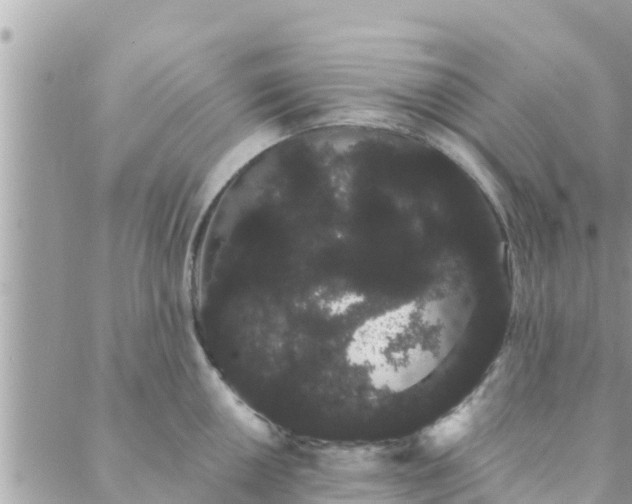 X0000088591050200706011133