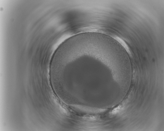 X0000088591051200706011133