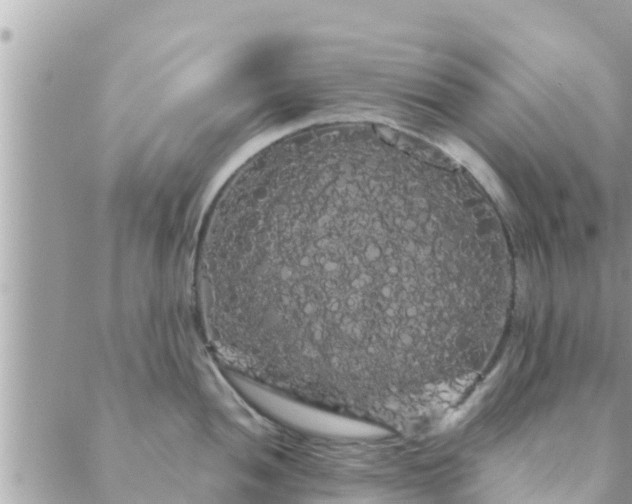 X0000088591052200706011133