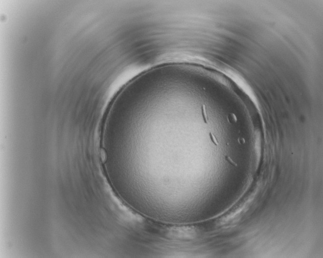 X0000088591053200706011133