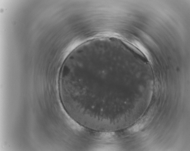 X0000088591055200706011133