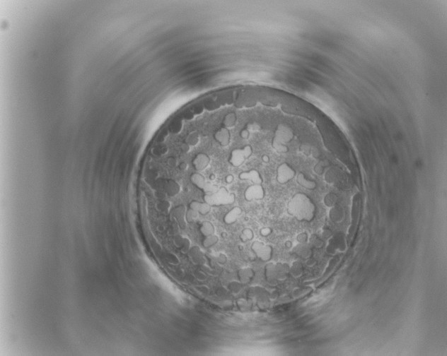 X0000088591056200706011133