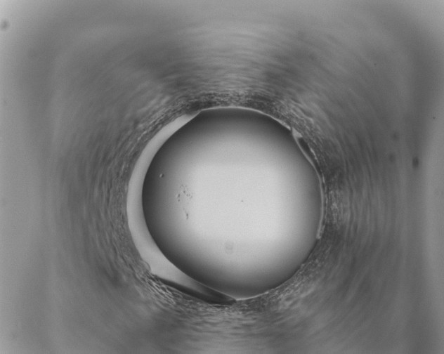 X0000088591057200706011132