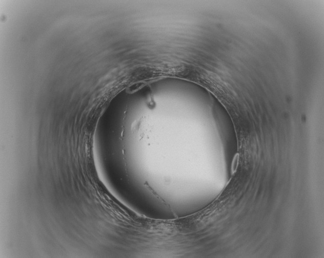 X0000088591058200706011132