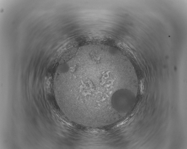 X0000088591059200706011132