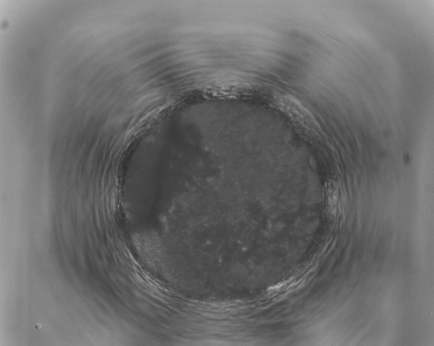 X0000088591060200706011132