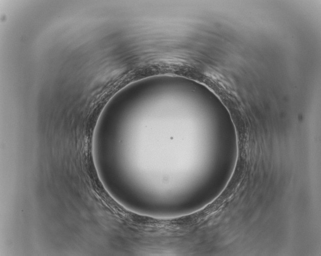 X0000088591061200706011132