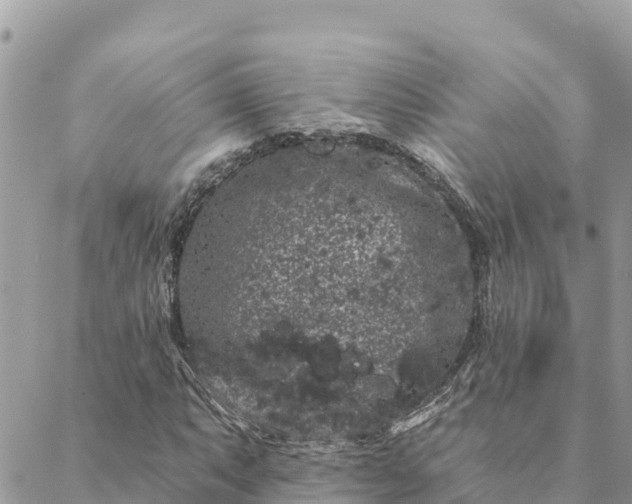 X0000088591063200706011132