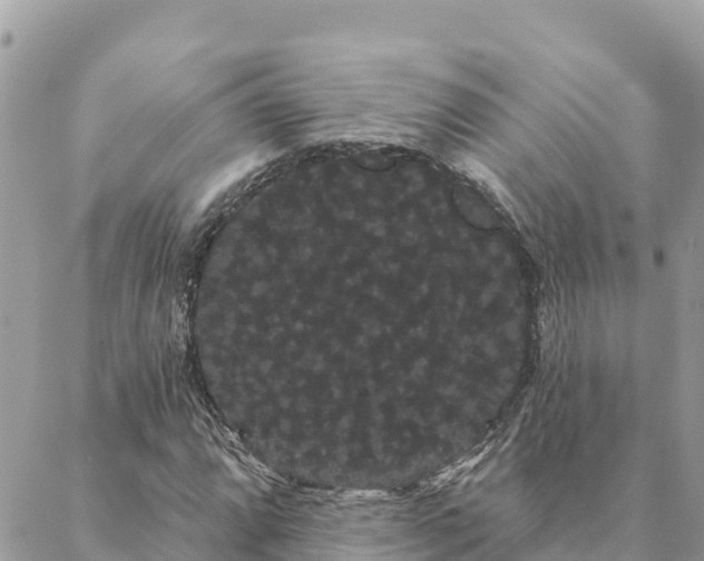 X0000088591064200706011132