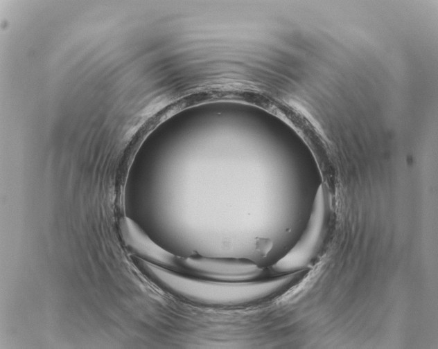 X0000088591065200706011132