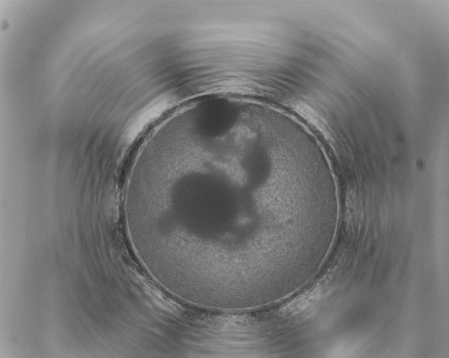 X0000088591067200706011132