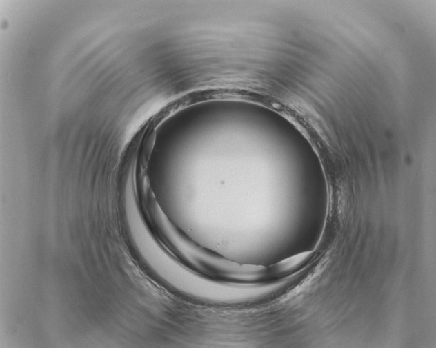 X0000088591069200706011132