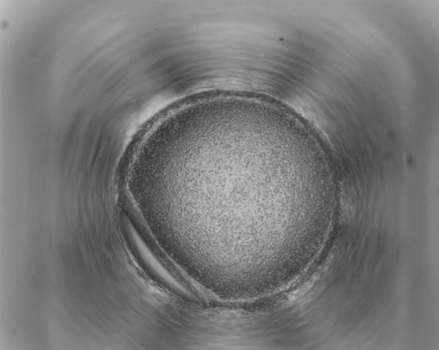 X0000088591070200706011132