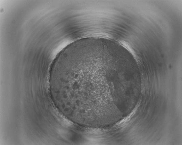 X0000088591071200706011132