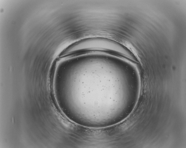 X0000088591072200706011132