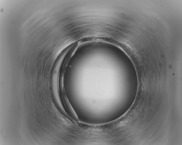 X0000088591073200706011132