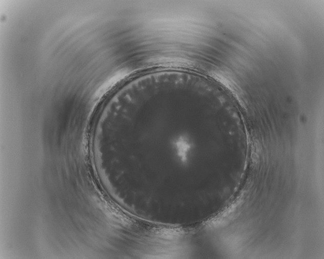 X0000088591074200706011132