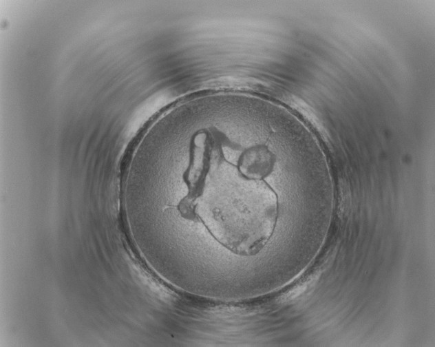 X0000088591075200706011132