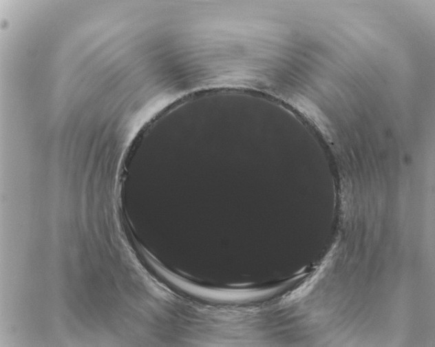 X0000088591077200706011132