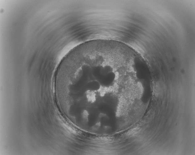 X0000088591078200706011132