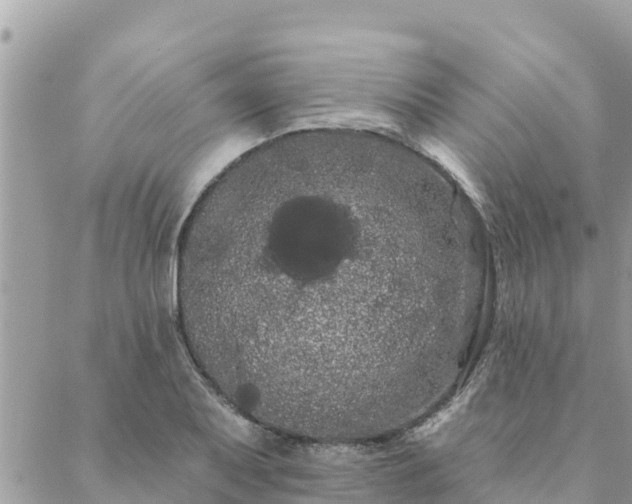 X0000088591079200706011132