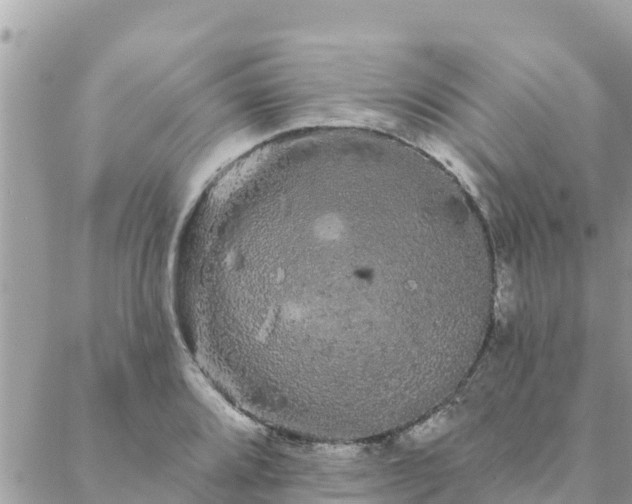 X0000088591080200706011132