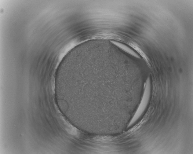 X0000088591083200706011132