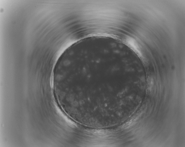 X0000088591084200706011132