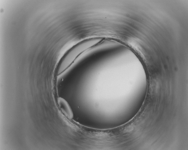 X0000088591085200706011132