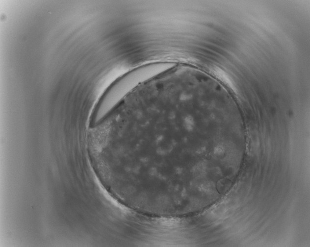 X0000088591087200706011132