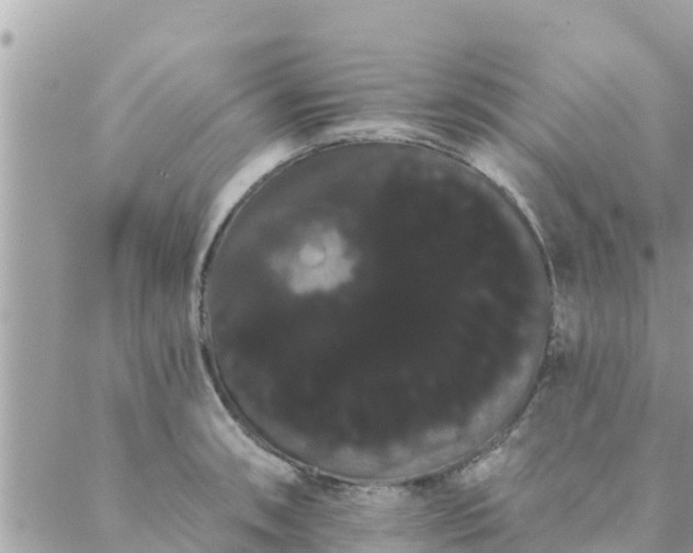 X0000088591090200706011131