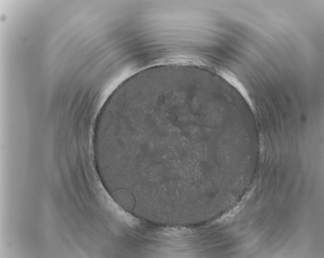 X0000088591091200706011131