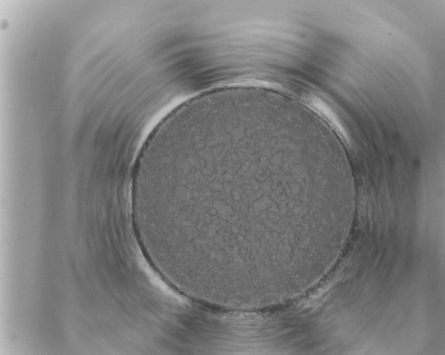 X0000088591092200706011131