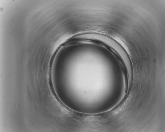 X0000088591093200706011131