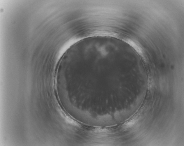 X0000088591094200706011131