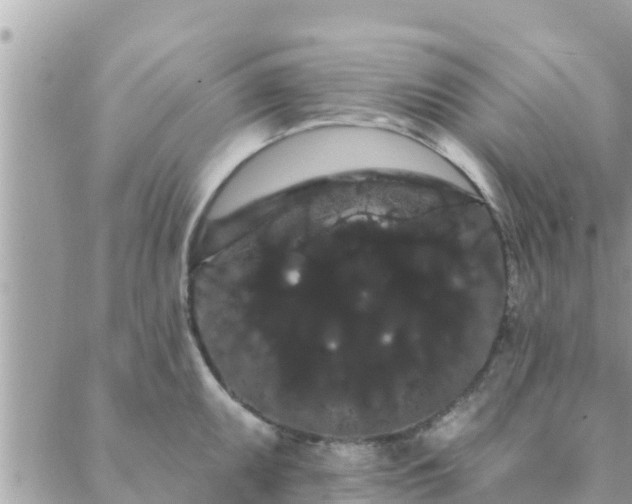 X0000088591095200706011131