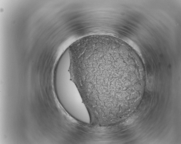 X0000088591096200706011131