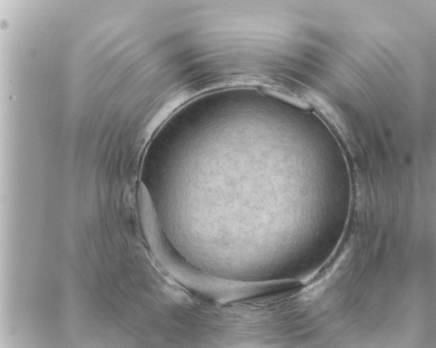 X0000088591097200706011131