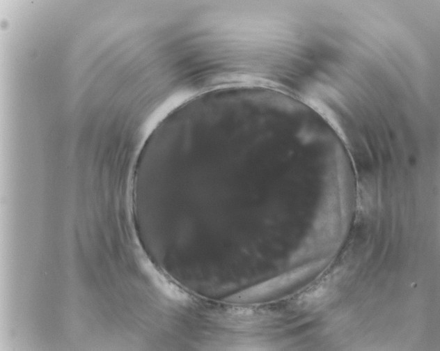 X0000088591098200706011131